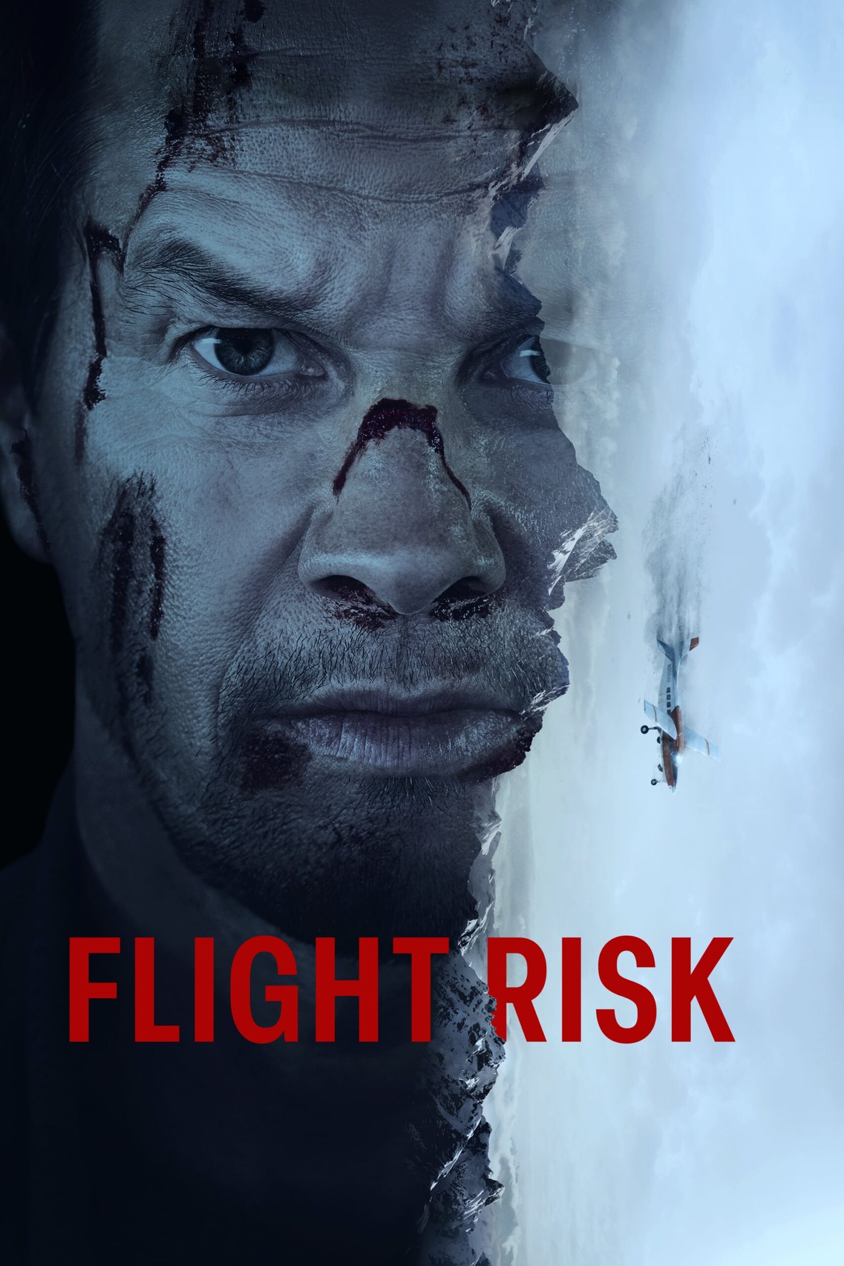 Poster for the movie "Flight Risk"